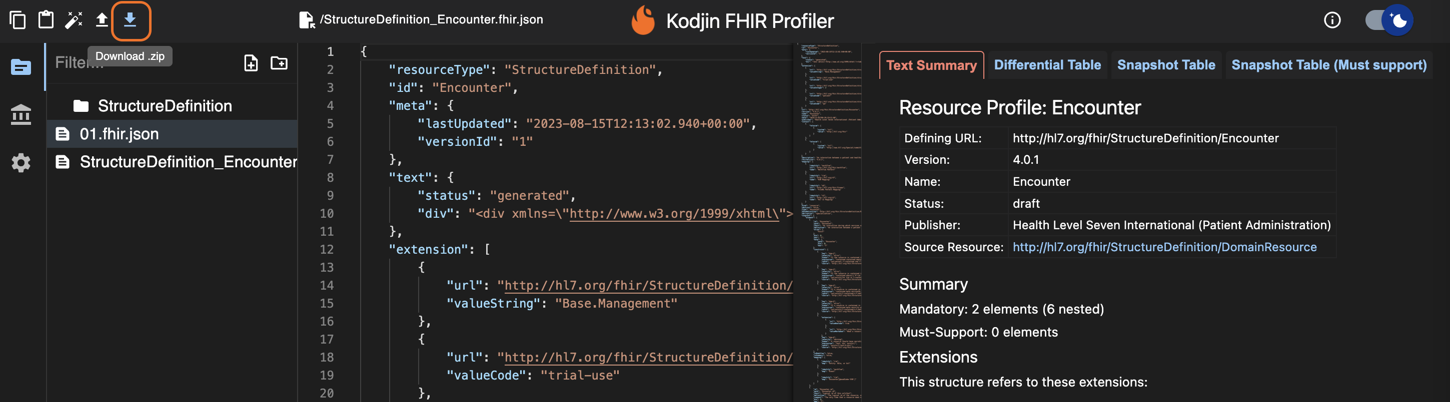 Kodjin FHIR Profiler download archive